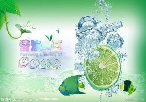 谢菲联主场顽强，积分稳步攀升